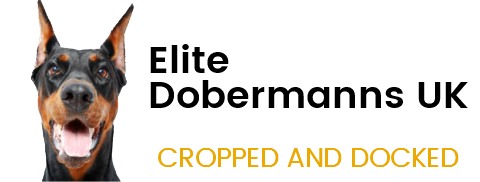 Elite Dobermanns UK
